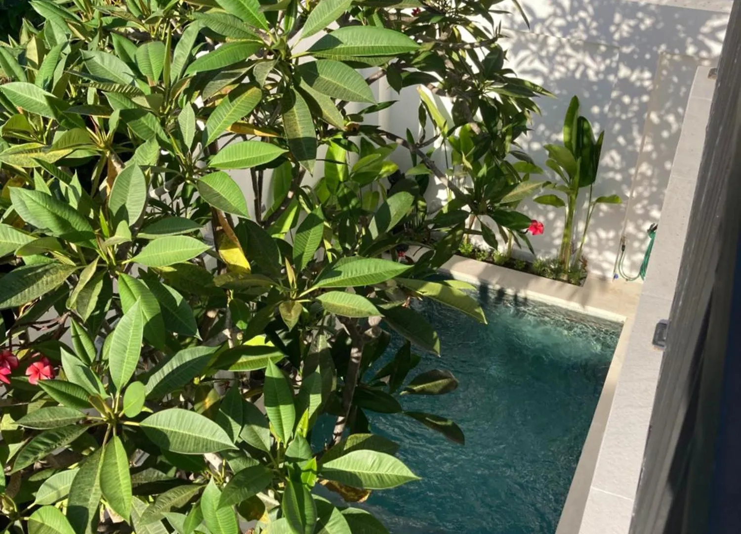 Villa Dimaz Seminyak
